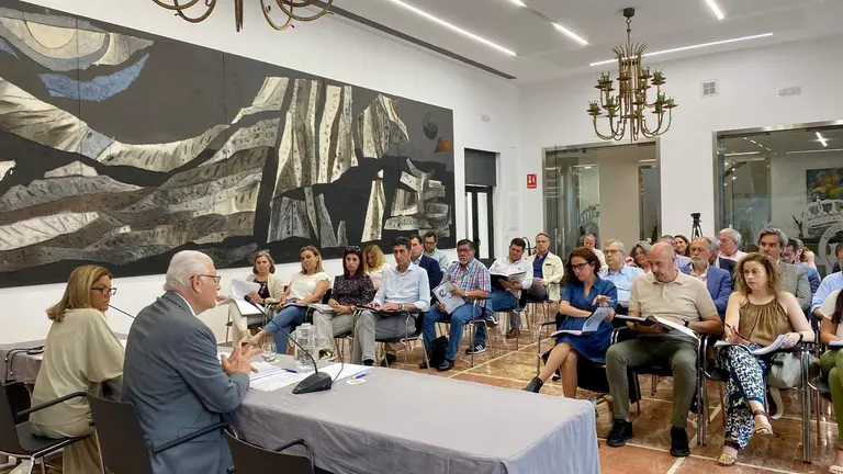 Pleno del CESpH celebrado en la Diputaci&oacute;n