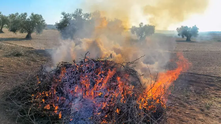 Quemas agr&iacute;colas