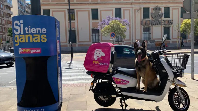 Pipiguau en el centro de la capital