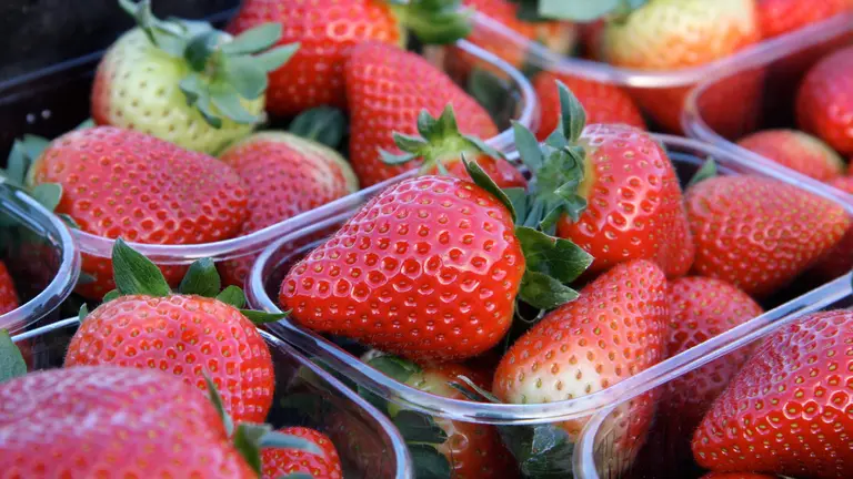 Envases tarrinas con fresas