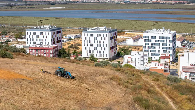 Limpieza Solares Laderas del Cabezo del Conquero