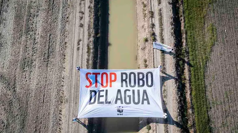 Campa&ntilde;a de WWF para frenar las extracciones ilegales de agua en el acu&iacute;fero de Do&ntilde;ana