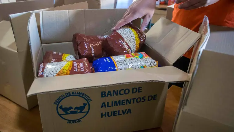 BAH Recogida Alimentos