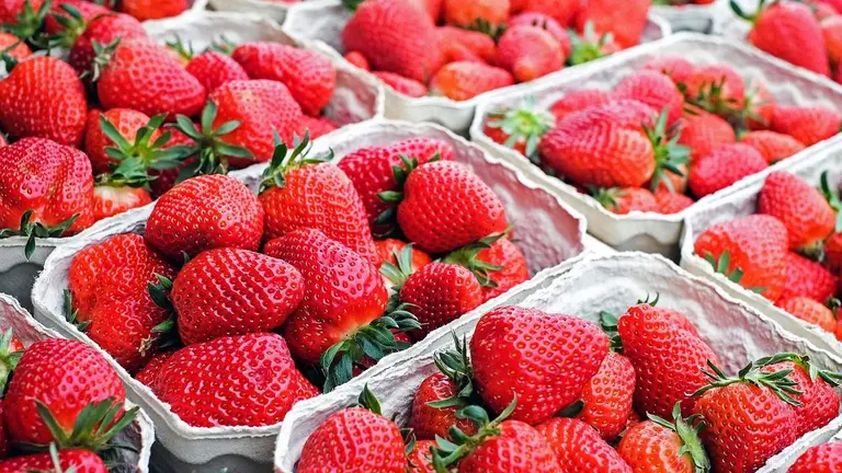 Fresas de Huelva