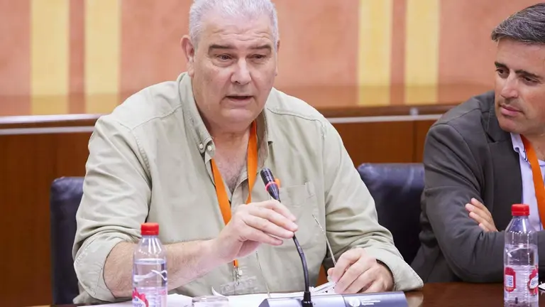 Manuel Piedra, en la comisi&oacute;n parlamentaria