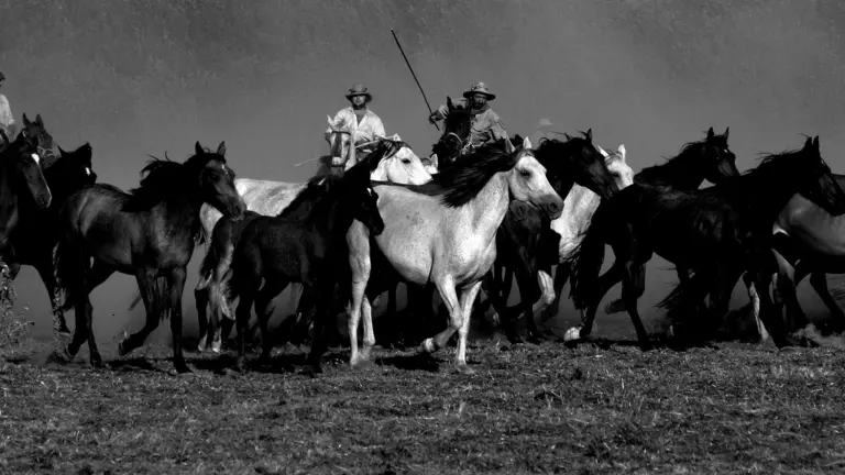 355655551_665797218920408_1155408218398210294_n