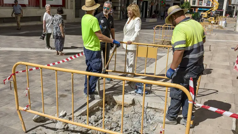 Miranda visita las nuevas plantaciones en La Placeta