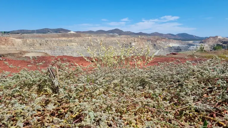 Zona minera de Atalaya