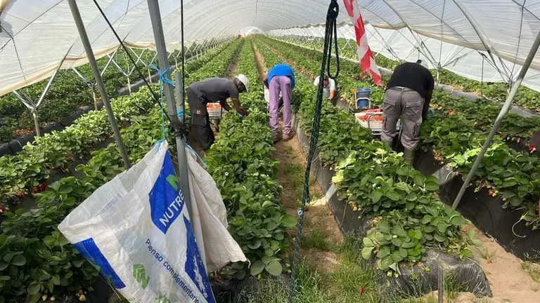 f7761a2c-7c60-497f-a7fb-b099e63f03c6