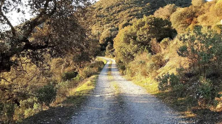 Camino de acceso a explotaciones ganaderas rurales