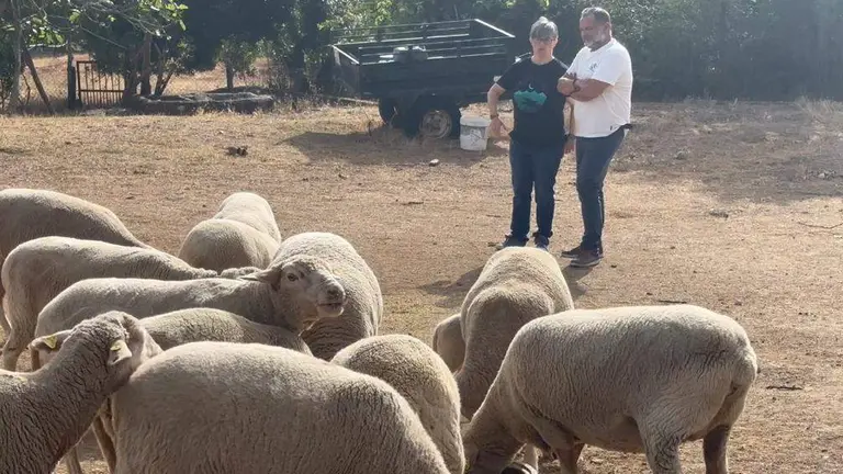Sánchez Rufo en Cortegana, en una explotación ganadera