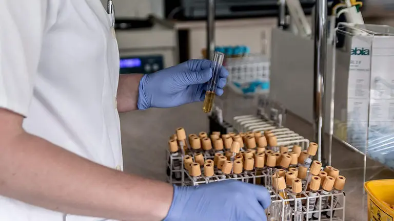 Muestras de laboratorio