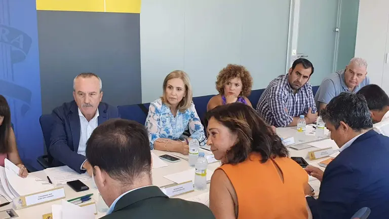 Comisi&oacute;n del PFA