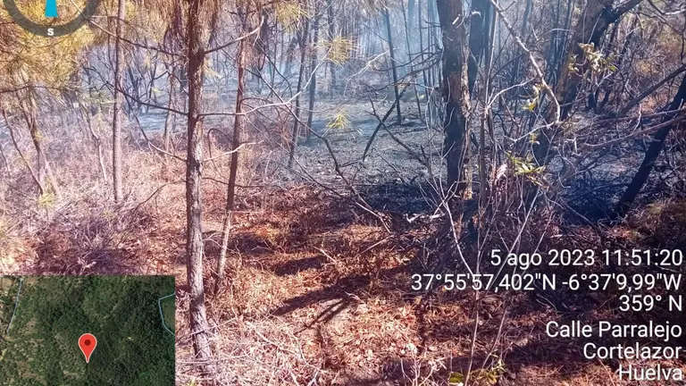 Zona afectada por el incendio con gran acumulaci&oacute;n de combustible