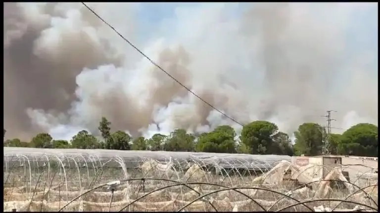 El &uacute;ltimo fuego asola la zona de Bonares-Lucena