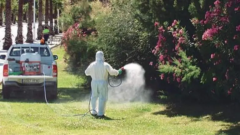 Fumigaciones en Matalasca&ntilde;as