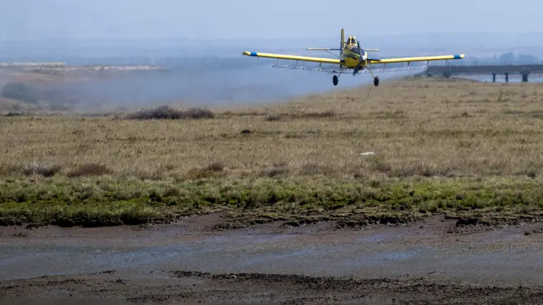 Un avi&oacute;n controlando plagas.