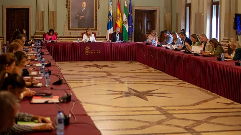 Sesión plenaria capitalina