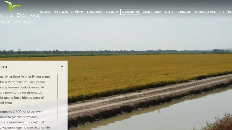 Web corporativa de Veta la Palma