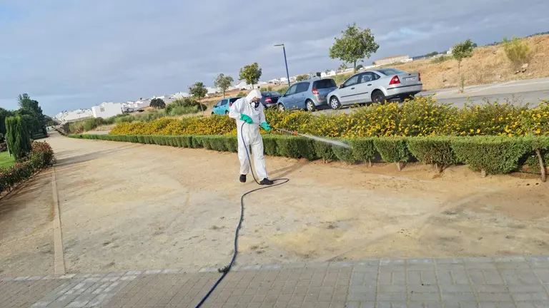 Fumigaci&oacute;n con biocidas