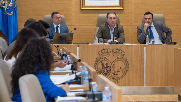 David Toscano preside la sesión plenaria