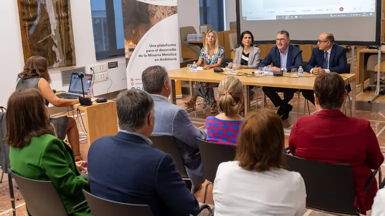 Jornadas de Aminer en la Diputación