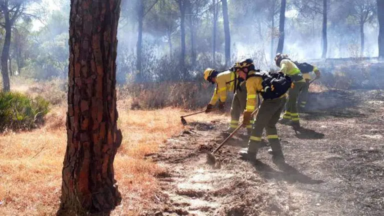 Bomberos forestales en un incendio en Almonte de este verano (Foto: Infoca)