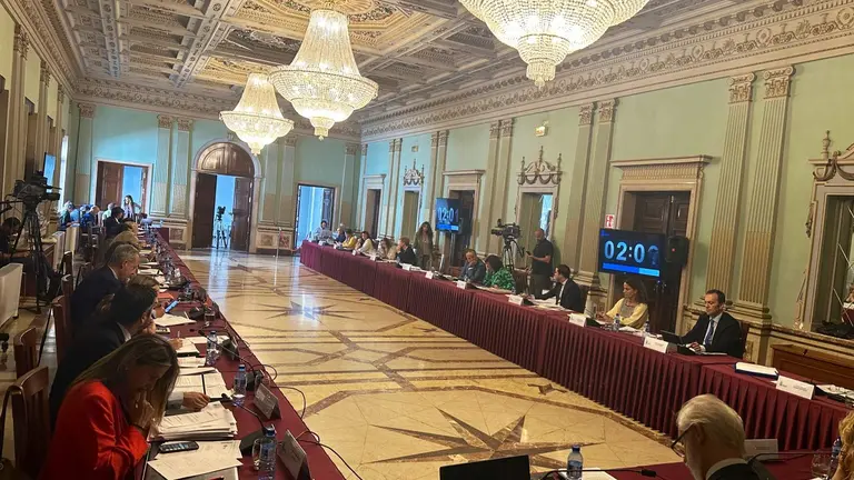 Un momento de la sesi&oacute;n plenaria