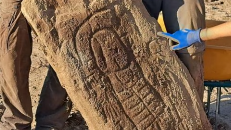 Captura de pantalla de la estela hallada