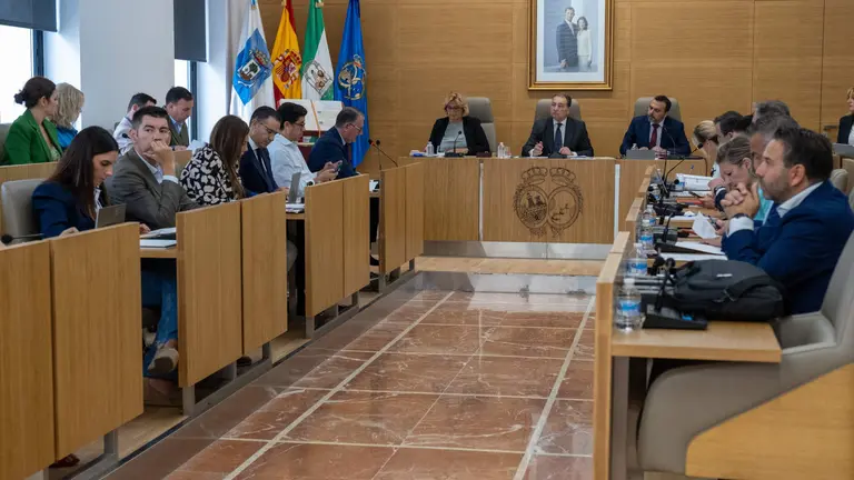 Sesión plenaria en Diputación