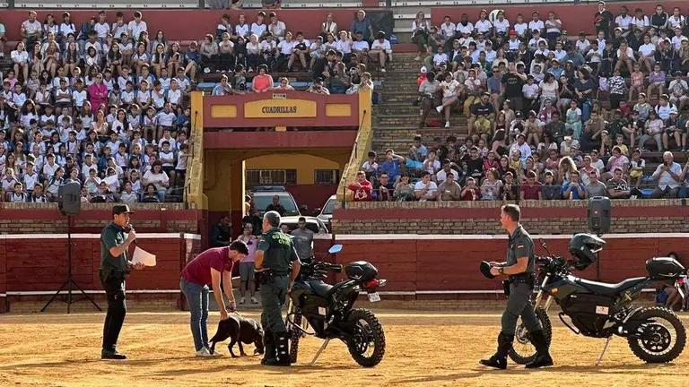 Ejercicios de demostración de los agentes