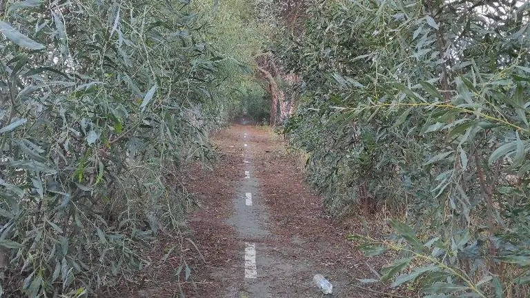 Estado del carril-bici