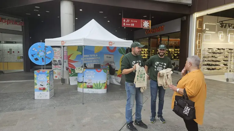 La campa&ntilde;a en el Carrefour y Holea