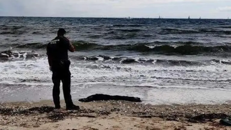 Hallazgo del anterior cad&aacute;ver en la zona