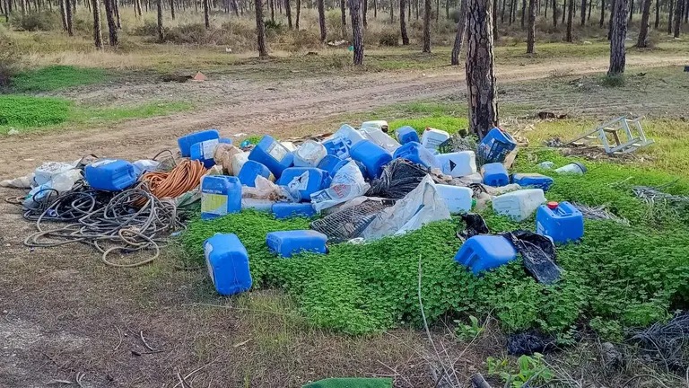 Residuos tirados en el pinar