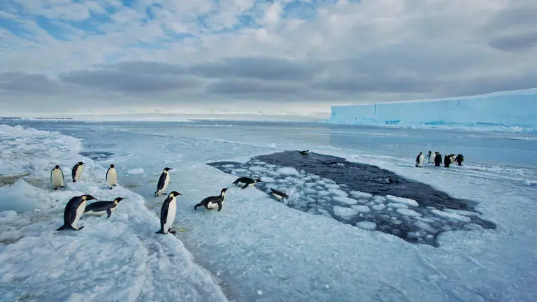 Una de las fotos expuestas