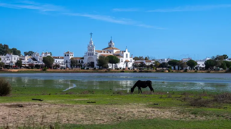 Panor&aacute;mica de la Madre de las Marismas, junto a La Rocina