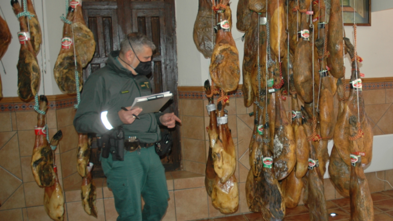 Operativo de la Guardia Civil en labores de inspección