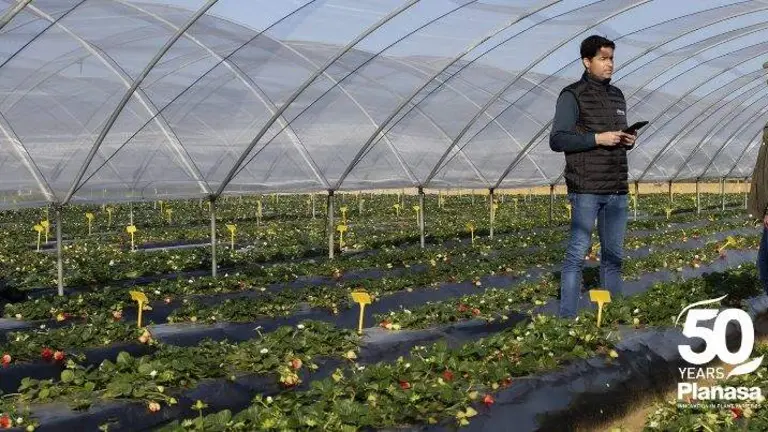 Instalaciones de Planasa