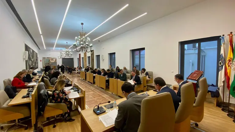 Pleno Presupuestos de la Diputaci&oacute;n