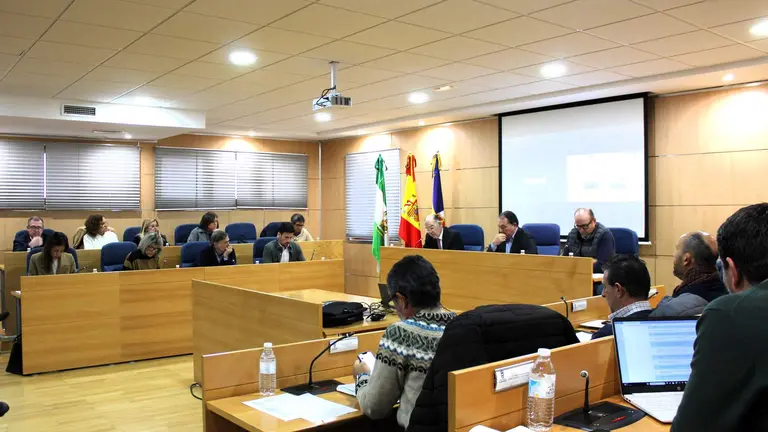 Sesi&oacute;n plenaria ordinaria celebrada en diciembre en el consistorio