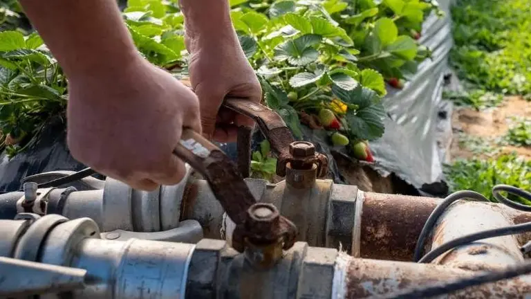 Llega el gran cerrojazo al consumo de agua para regad&iacute;os en Huelva