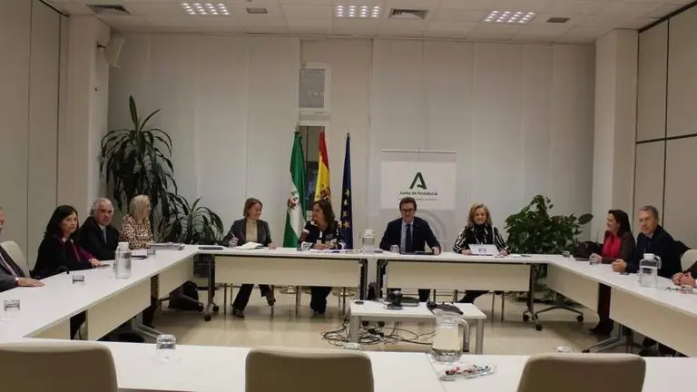 Reunión Colegio de Médicos con la consejera