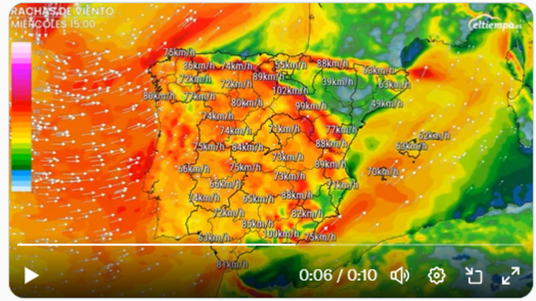 Avisos por viento por la llegada de Irene
