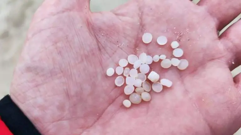 Un puñado de pellet recogido en la playa de El Portil