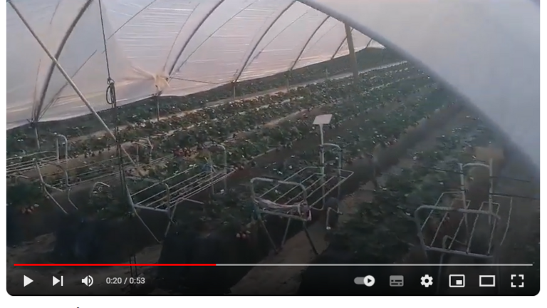 Campos y naves y cooperativas vac&iacute;os de trabajadores