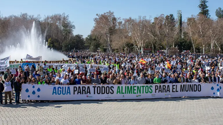 Manifestaci&oacute;n 1F