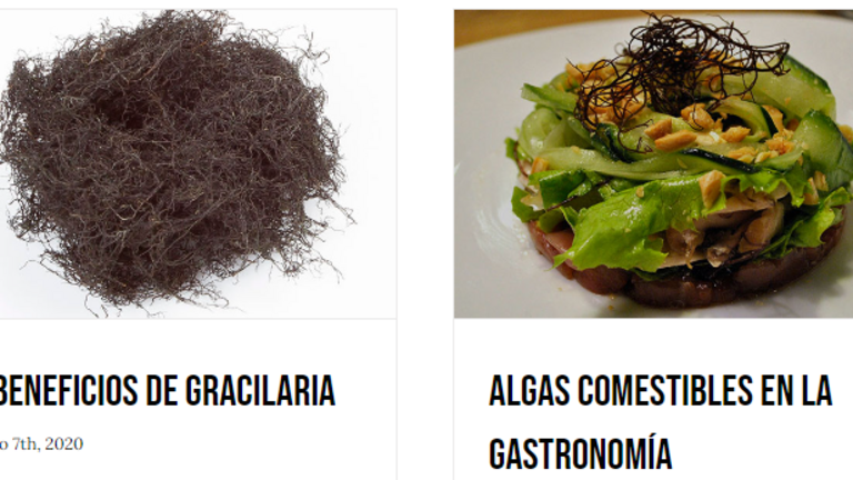 Captura de pantalla de productos de la web de Ecoalgas