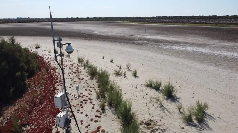 La laguna de Santa Olalla, la &uacute;ltima laguna permanente de Do&ntilde;ana, completamente seca en agosto del a&ntilde;o pasado