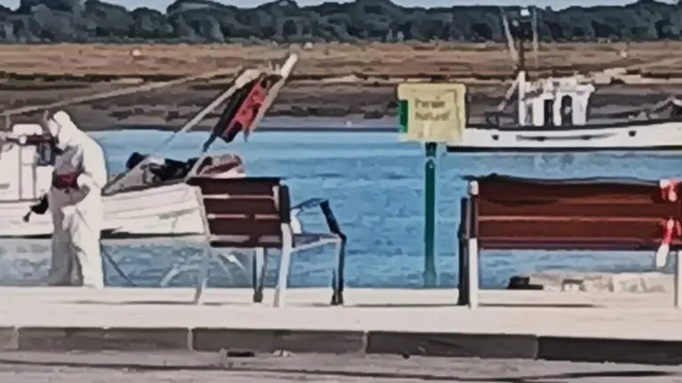 Fumigaci&oacute;n en Punta (Foto: APSi)